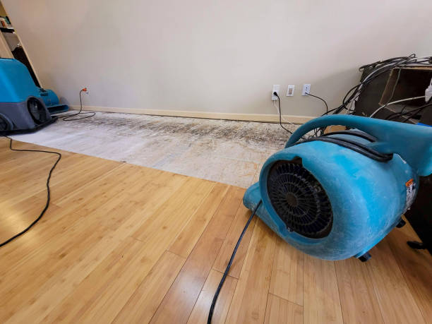 Reliable Basement Flood Cleanup contractor in Locust Grove, OK by Hirex Water Damage