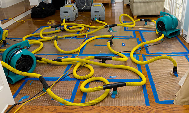 Professional Basement Flood Cleanup technician working in Locust Grove, OK